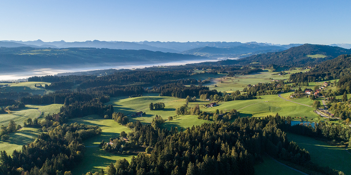 Luftaufnahme Landschaft in Allgäu